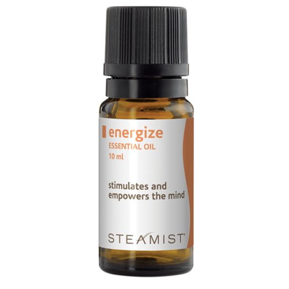 Steam Shower Accessories Enhance Your EliteSteam Steam Shower Kit